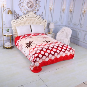 Deluxe Cloudy Blanket CLD - 216 - Image 4